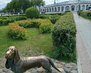 фото_3